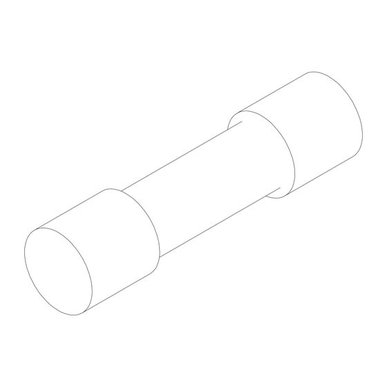 Bosch Sicherung T 250mA, 8732902432