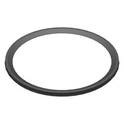 Bosch Lippendichtung DN 185, 8738901692... JUNKERS-8738901692 4062321314668 (Abb. 1)