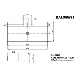 Kaldewei Aufsatz-Doppelwaschtisch Silenio rechteckig 123x460x1200mm Rh. 120mm, A... KALDEWEI-906406033001 4055761030588 (Abb. 1)