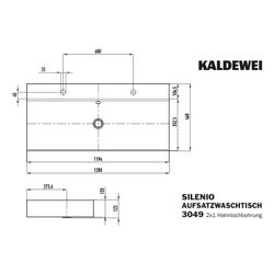 Kaldewei Aufsatz-Doppelwaschtisch Silenio rechteckig 123x460x1200mm Rh. 120mm, A... KALDEWEI-906406043001 4055761019958 (Abb. 1)