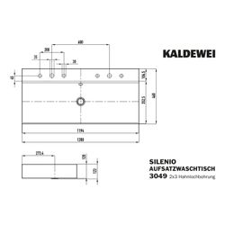 Kaldewei Aufsatz-Doppelwaschtisch Silenio rechteckig 123x460x1200mm, Alpinweiß/C... KALDEWEI-906406053001 4055761019965 (Abb. 1)