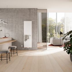 Kermi Pateo Flair Designheizkörper vertikal Anthracite Grey 1670x102x570mm 918W ... KERMI-PSR2L17570608XK 4063769546369 (Abb. 1)