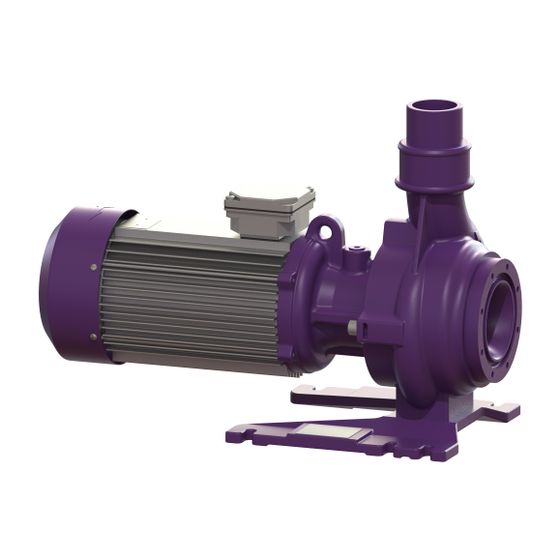 Kessel Homogenisatorpumpe für SPF 300 KE 2.0, 3,0kW, 917856