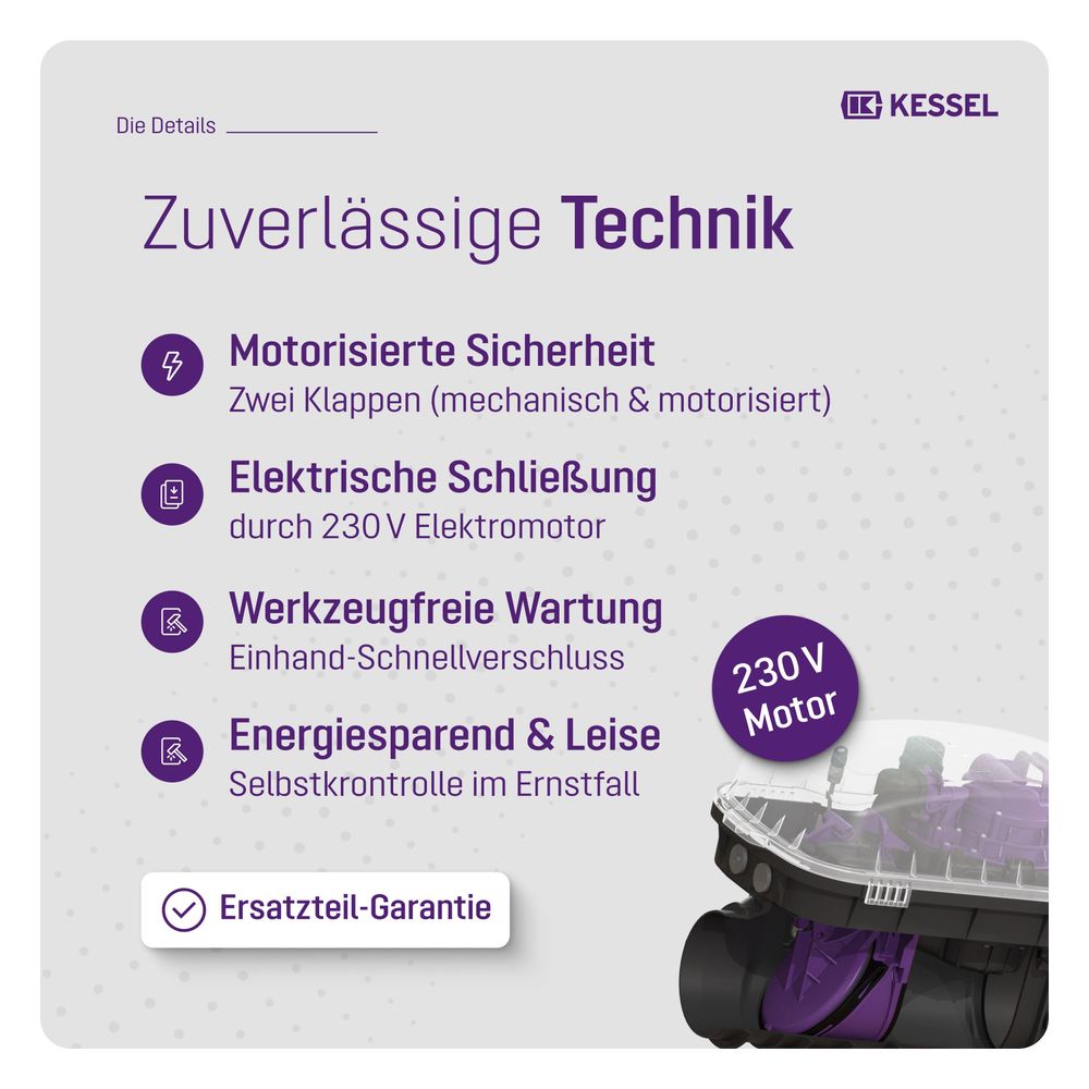 Kessel Rückstaupumpanlage Pumpfix F DN 100, freiliegend... KESSEL-24100 4026092046487 (Abb. 4)