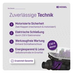 Kessel Rückstaupumpanlage Pumpfix F DN 125, freiliegend... KESSEL-24125 4026092046494 (Abb. 1)