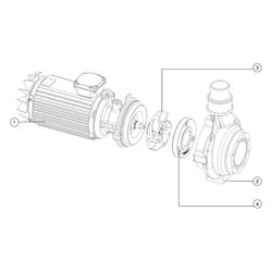 Kessel Homogenisatorpumpe für SPF 300 KE 2.0, 3,0kW, 917856... KESSEL-917856 4026092055823 (Abb. 1)