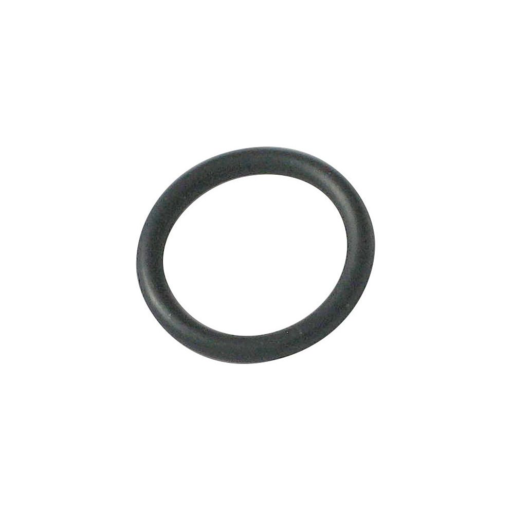 KLUDI Ersatzteil O-Ring 16,3 x 2,4 kst.-schwarz... KLUDI-92502911-00 4017080865609 (Abb. 1)