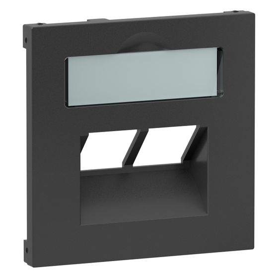 Legrand SEANO Zentralplatte für 2x RJ45 Datendosen, mit Beschriftungsfeld, Unterputz, Kunststoff, Anthrazit lackiert, 765459