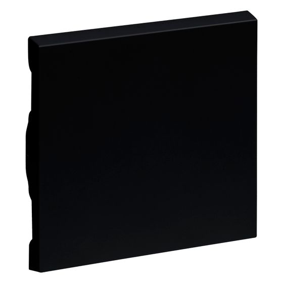 Legrand Wippe SEANO für Wechselschalter Taster und Kreuzschalter, Einteilige Wippe, Kunststoff, Schwarz lackiert, 765306