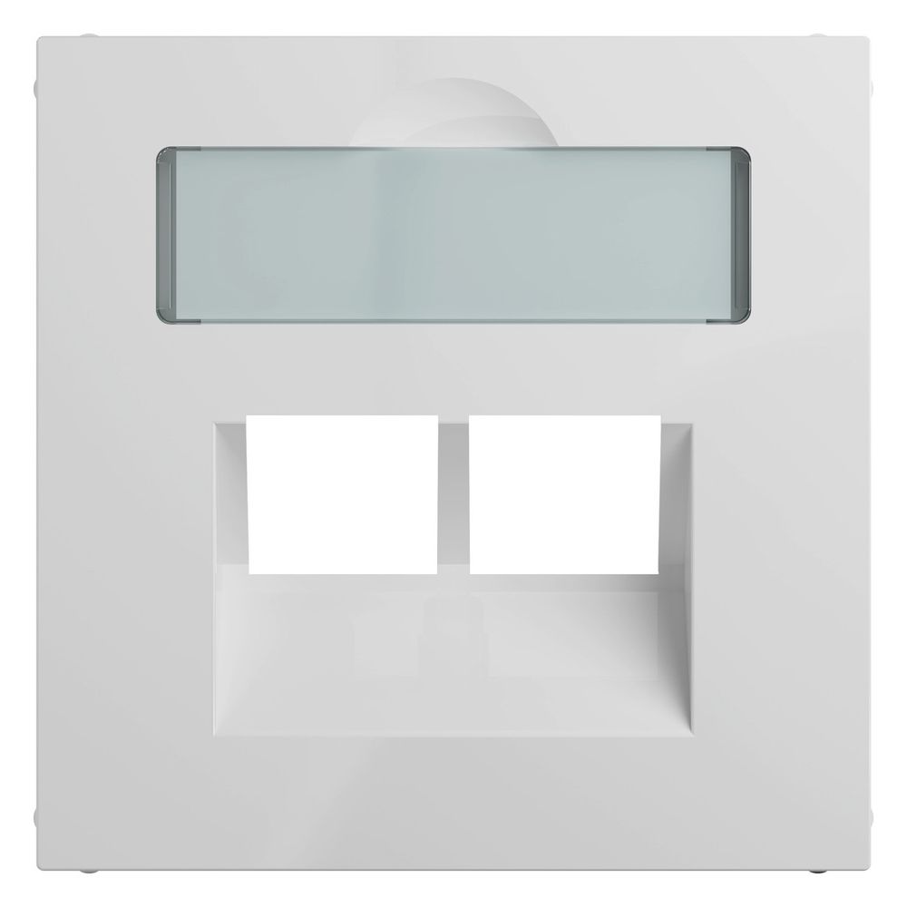 Legrand Abdeckung SEANO, 2x RJ45, mit Beschriftungsfeld, Unterputz, Kunststoff, Ultrawe... LEGRAND-765159 3414972544740 (Abb. 6)