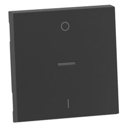 Legrand Wippe für 2-poligen Ausschalter SEANO, 56x56x5,7mm, Thermoplast, Anthrazit, 765... LEGRAND-765410 3414972543927 (Abb. 1)