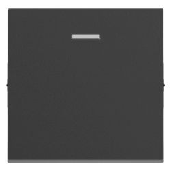 Legrand Wippe SEANO, mit Kontrollfenster, Kunststoff, Anthrazit, 765407... LEGRAND-765407 3414972543330 (Abb. 1)