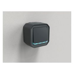 Legrand Kontroll-Wechselschalter Plexo New, 10AX, IP55, IK08, Anthrazit... LEGRAND-069721L 3414972110341 (Abb. 1)