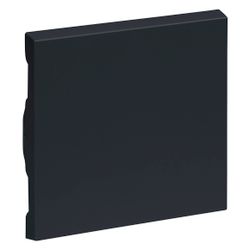 Legrand Wippe SEANO, Einteilig, Kunststoff, Anthrazit, 55,6x56x8,2mm, 765406... LEGRAND-765406 3414972543248 (Abb. 1)