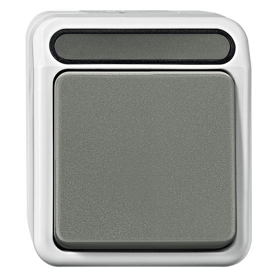 Merten Aus/Wechselschalter Aquastar, 10 AX 250V, IP44, Kunststoff, Lichtgrau, MEG3116-8029