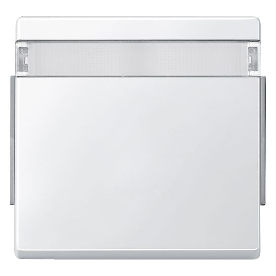 Merten Wippe Aquadesign, IP44, Polykarbonat, Polarweiß, 343919
