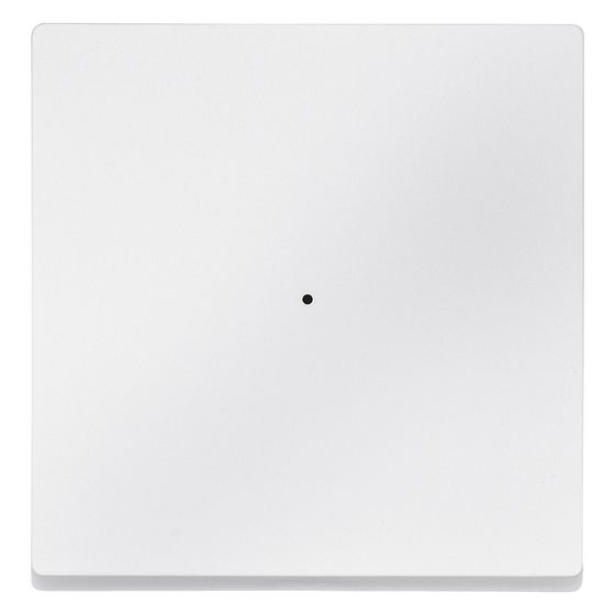 Merten Wippe System M MEG5210-0419, 55x55mm, Polykarbonat, Polarweiß