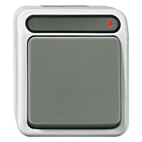 Merten Drucktaste Aquastar MEG3154-8029, 10A 250V, Thermoplast, Lichtgrau