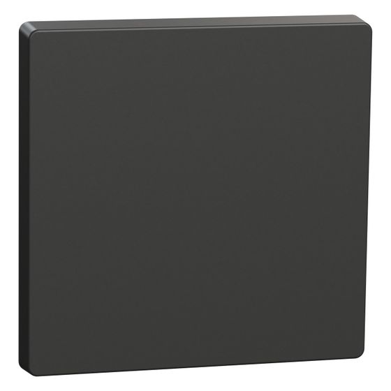 Merten Wippe System Design, 71x71x27mm, Thermoplast, Anthrazit