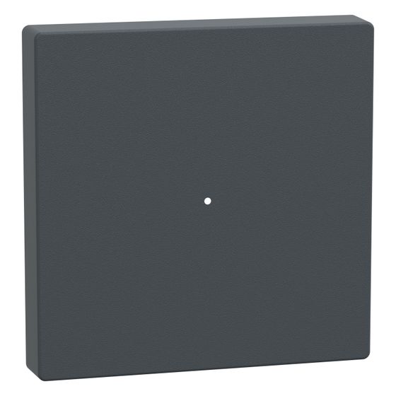 Merten Wippe System M MEG5210-0414, 55x55mm, Thermoplast, Anthrazit