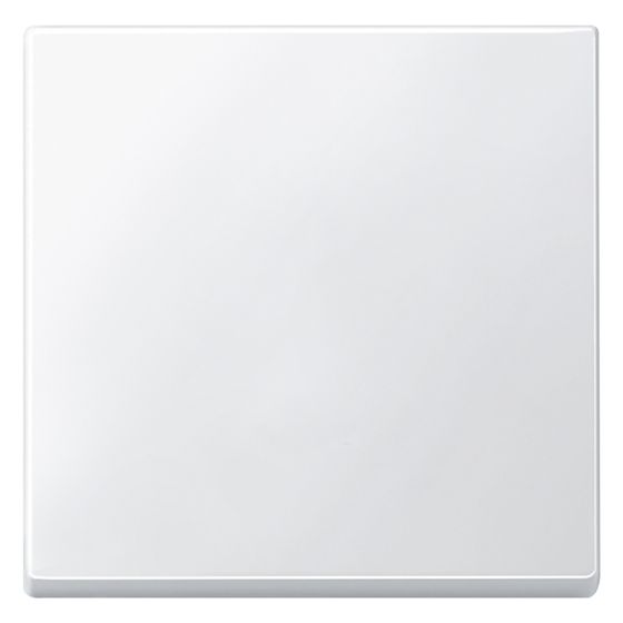 Merten Wippe System M, 55x55mm, Duroplast, Polarweiß, 434119