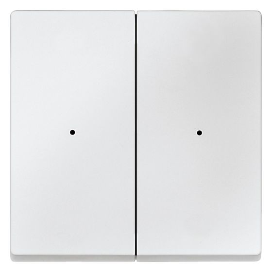 Merten Doppelwippe System M, 55x55mm, Polykarbonat, Polarweiß, MEG5220-0419