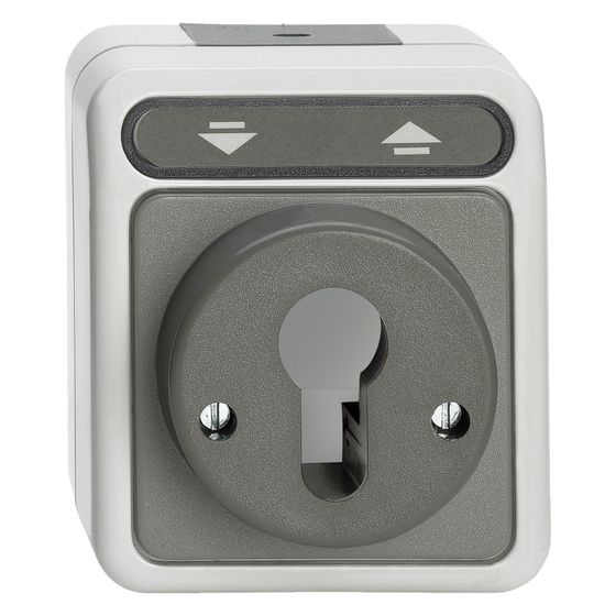 Merten Schalter Aquastar MEG3717-8029, 250V 10A IP44, Polypropylen, Lichtgrau