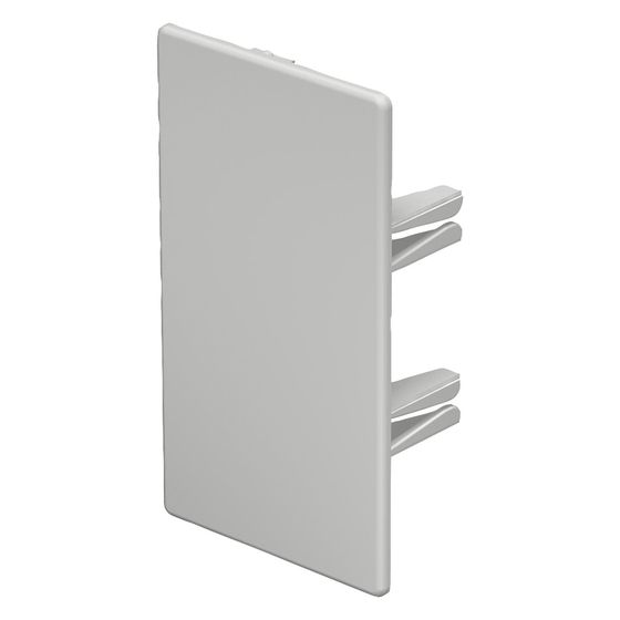 OBO Bettermann Endstück WDK/HE 60110, 60x110mm, Kunststoff, Lichtgrau