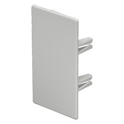 OBO Bettermann Endstück WDK/HE 60110, 60x110mm, Kunststoff, Lichtgrau... OBO-6183824 4012196678495 (Abb. 1)