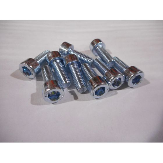 Remeha Schraube, M6x16 8,8 ZN8, 110351