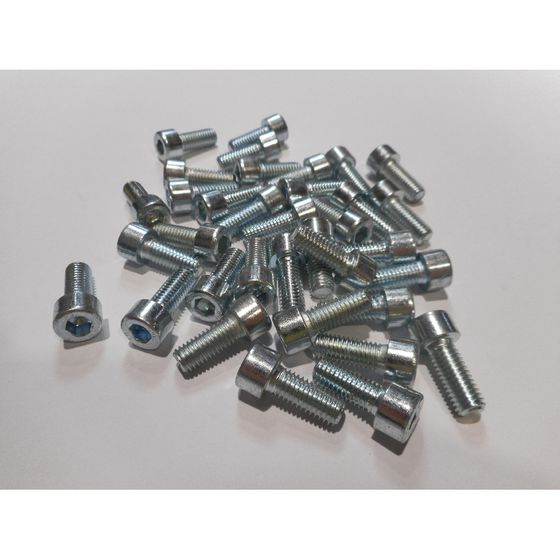 Remeha Schraube, M8x20mm, 300028534