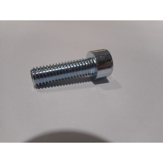 Remeha Schraube, M8x25mm, 300028536