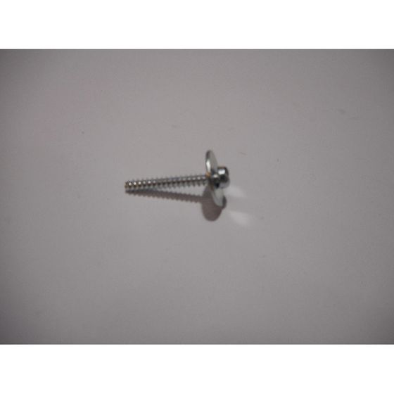 Remeha Schraube Z35x25, 7621675