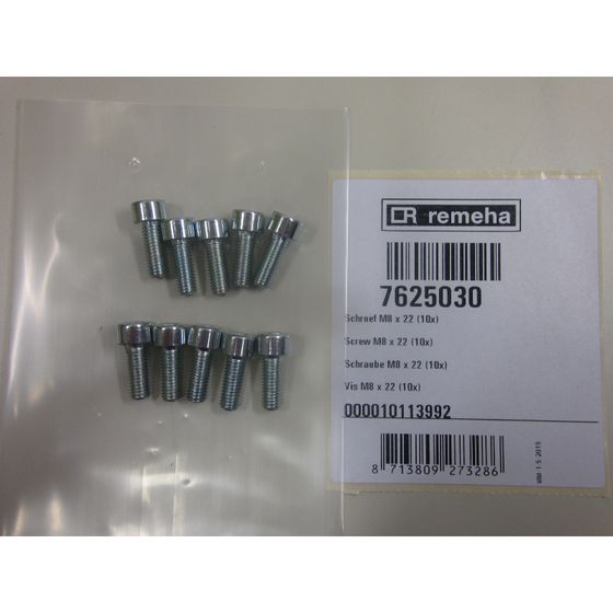 Remeha Schraube, M8x22, 7625030