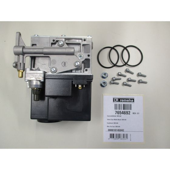 Remeha Gasblock, 300kW, 7654692