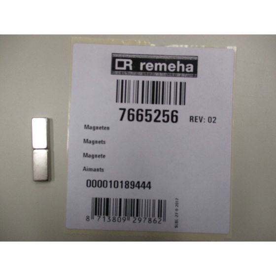 Remeha Magnete, 7665256