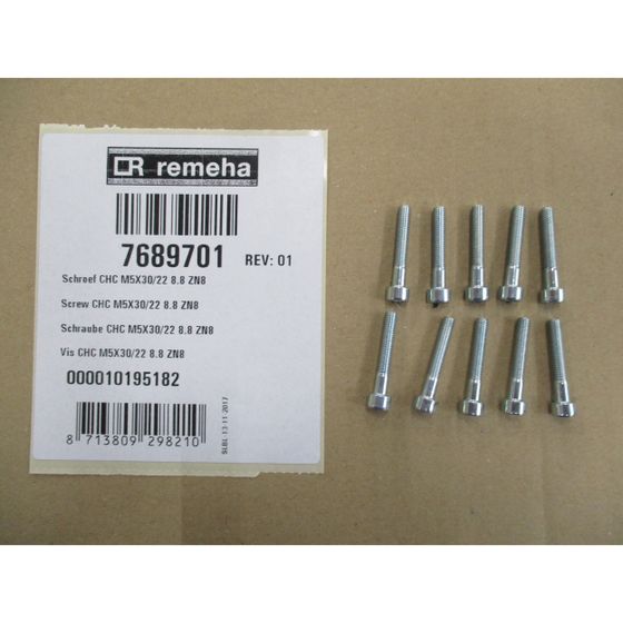 Remeha Schraube, CHC M5x30/22 8,8 ZN8, 7689701