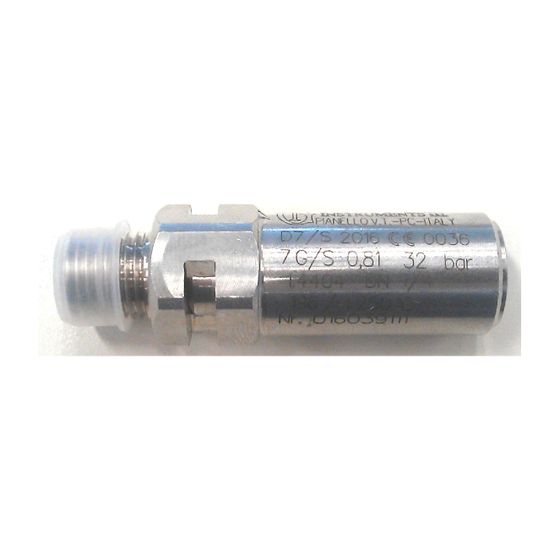 Remeha Sicherheitsventil, 7697320