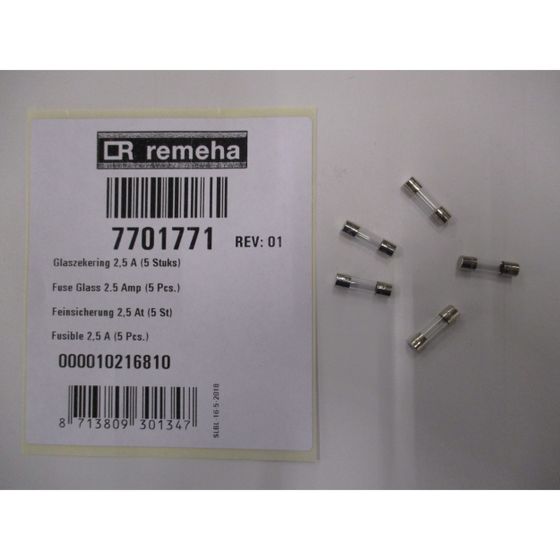 Remeha Glassicherung, 2,5A, 7701771
