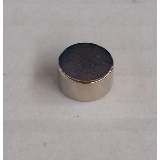 Remeha Reed Sensor Magnet, 7752066