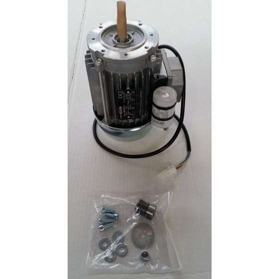 Remeha Motor, für Ölpumpe, 7752077