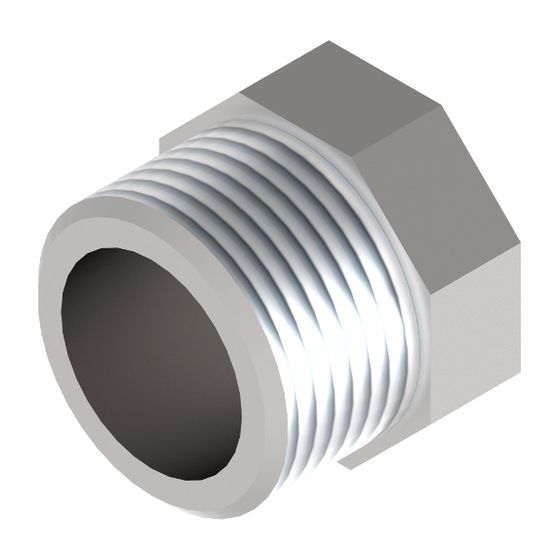Remeha Einschraubstopfen HC02, 7762573
