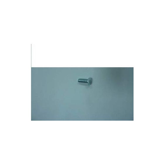 Remeha Innensechskantschraube HM 8x20, 6,8mm Zn8