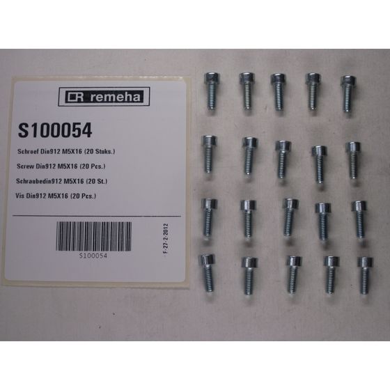 Remeha Schraube, M5x16, S100054