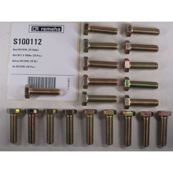 Remeha Bolzen M12x45, S100112