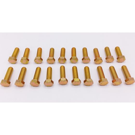 Remeha Bolzen M16x50, S100115