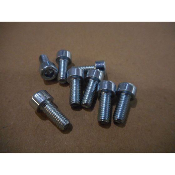 Remeha Schraube, M5x12, S100468