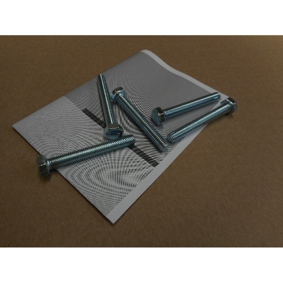 Remeha Schraube, M8x60mm, S100541