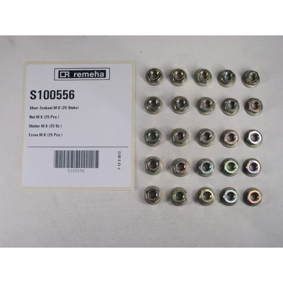 Remeha Mutter, M8, S100556