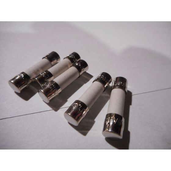 Remeha Feinsicherung, 1,6A, S100664